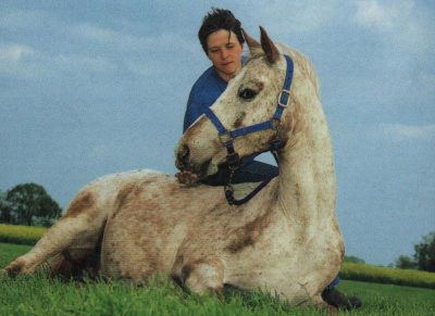 doma en libertad: acostarse