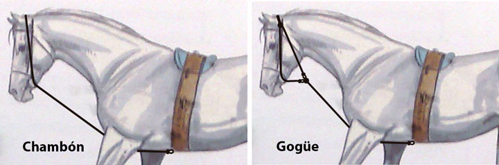 riendas auxiliares