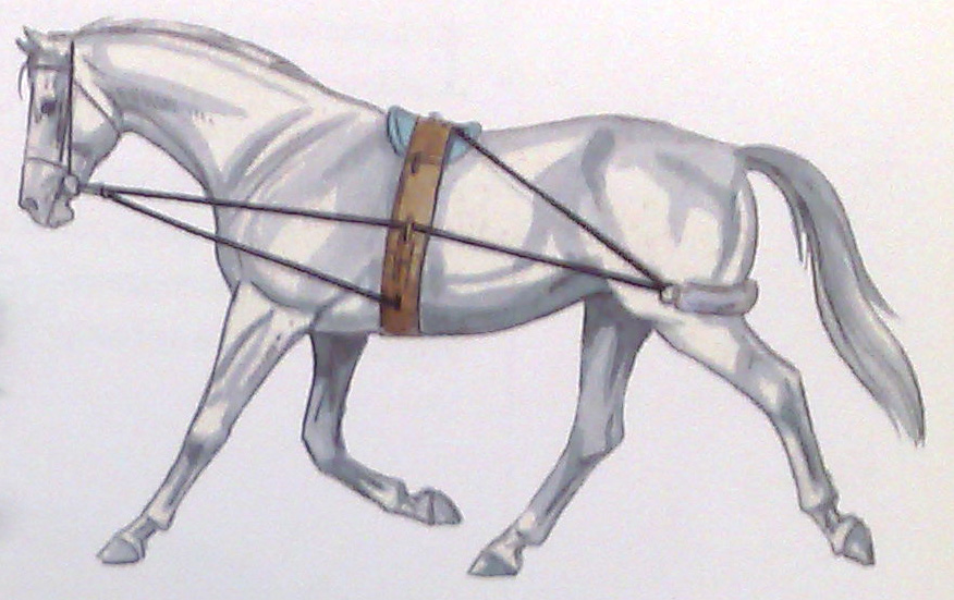 Sistema de entrenamiento Pessoa