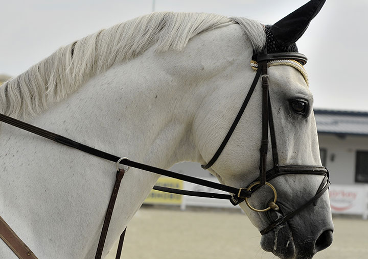 Martingala de anillas