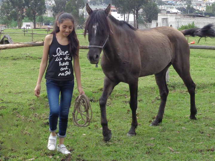 Coaching con caballos