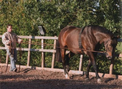 Riendas largas o doble cuerda