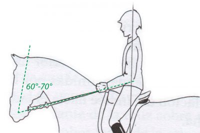 angulo cabeza rienda