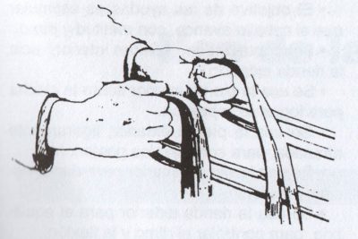 acción de las manos en equitación