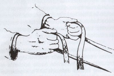 acción de las manos en equitación