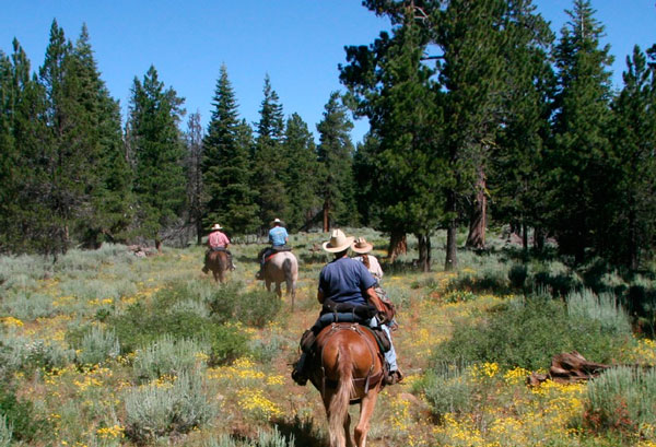 Paseos y excursiones a caballo