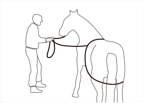 cuerda para subir caballo a remolque