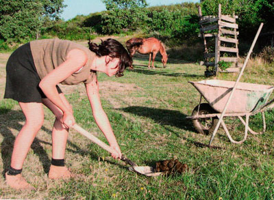 tratamiento de pastos