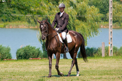 ¿Sabes que significa un Caballo en Equilibrio? | Experto Ecuestre