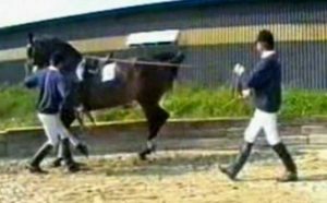 passage pie a tierra con ayudante