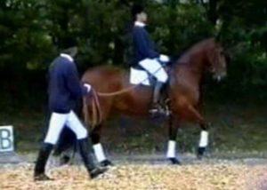 passage con jinete montado